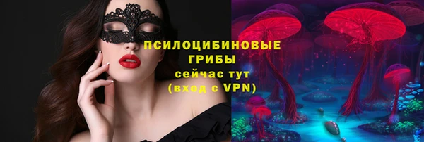 2c-b Белокуриха