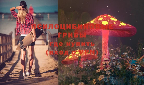 2c-b Белокуриха
