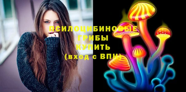 дживик Беломорск