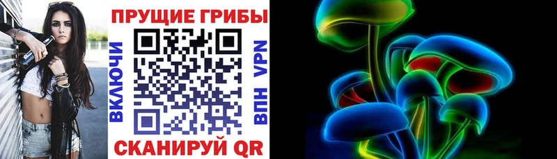 Псилоцибиновые грибы мицелий  Купить  Гороховец 