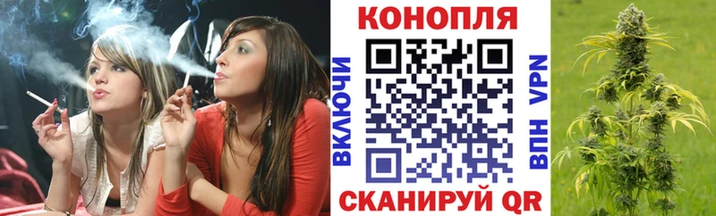 Бошки Шишки планчик Купить Гороховец